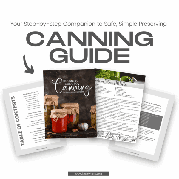 Beginning Guide to Canning - Image 2