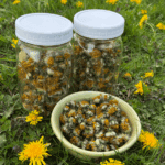 dried dandelions in a bowl and jars