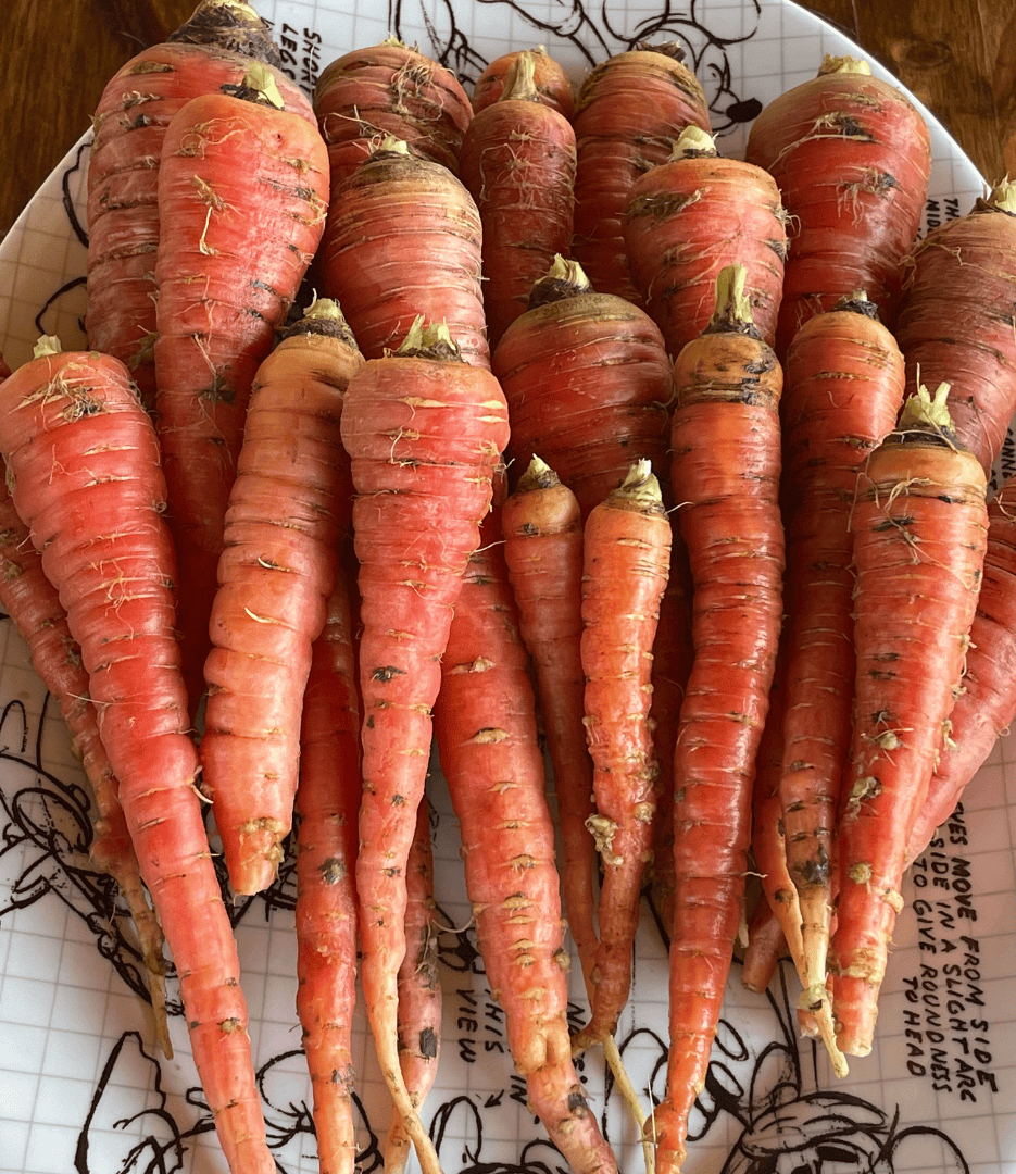 Cosmic purple carrots