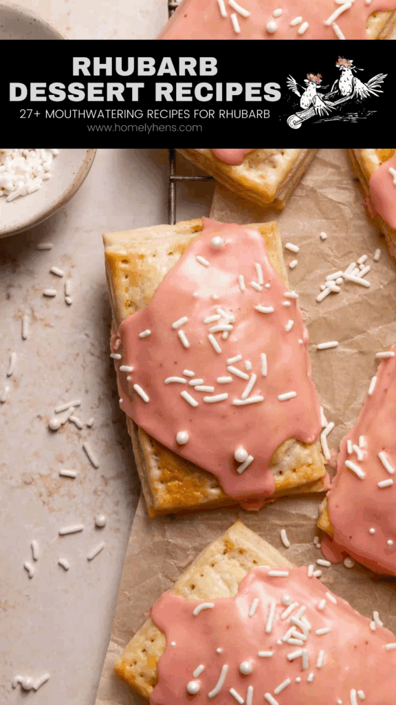 strawberry rhubarb poptarts