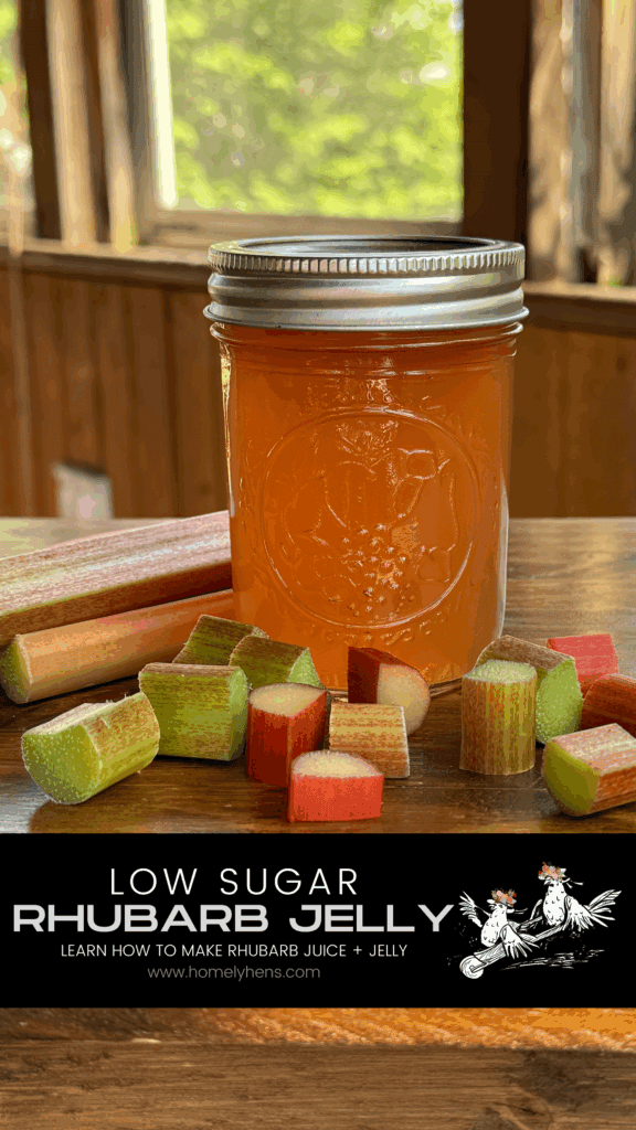Learn How to make Low Sugar Rhubarb Jelly from juice. 