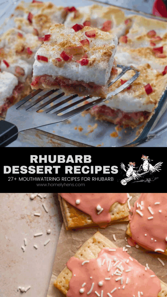 rhubarb desserts, rhubarb poptarts, torte