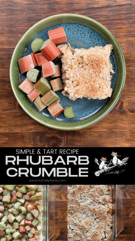rhubarb crumble