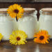 homemade calendula tallow baby balm with freshly picked calendula flowers