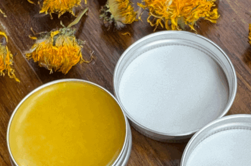 dandelion salve with dried dandelions