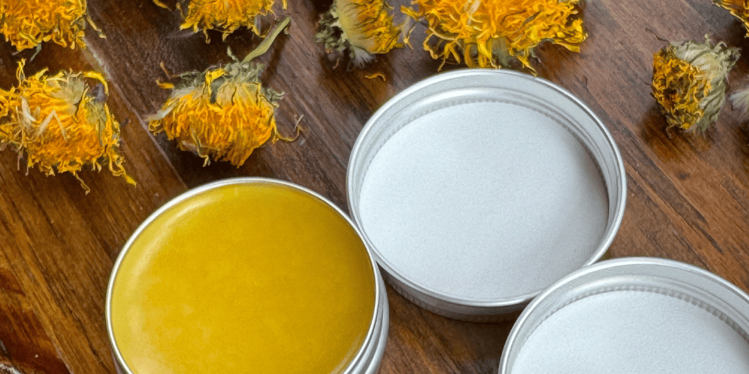 dandelion salve with dried dandelions
