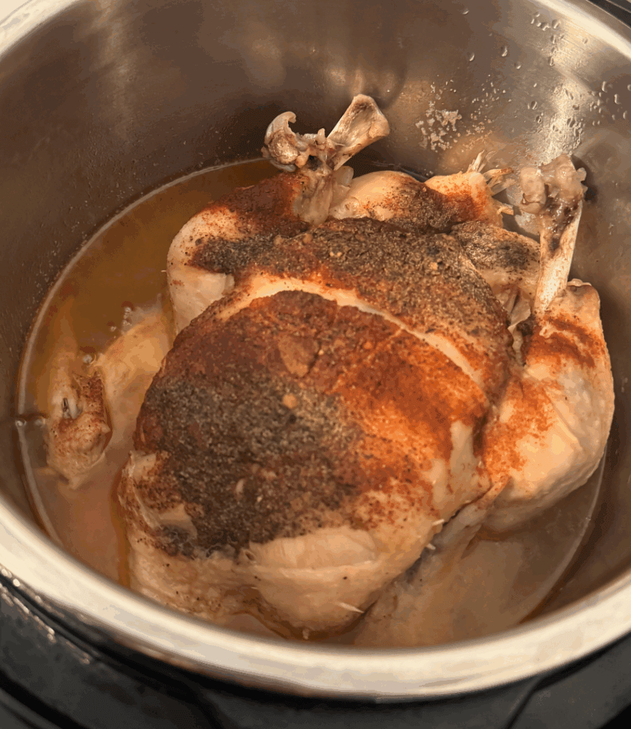 instant pot frozen chicken recipe, seasoned chicken