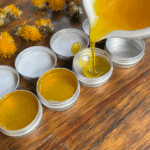 dandelion salve in tins, dried dandelions
