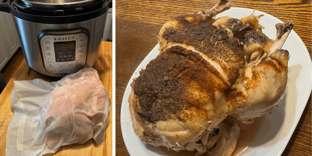 instant pot frozen chicken recipe