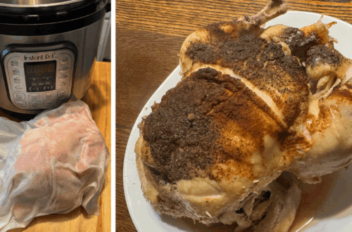 instant pot frozen chicken recipe