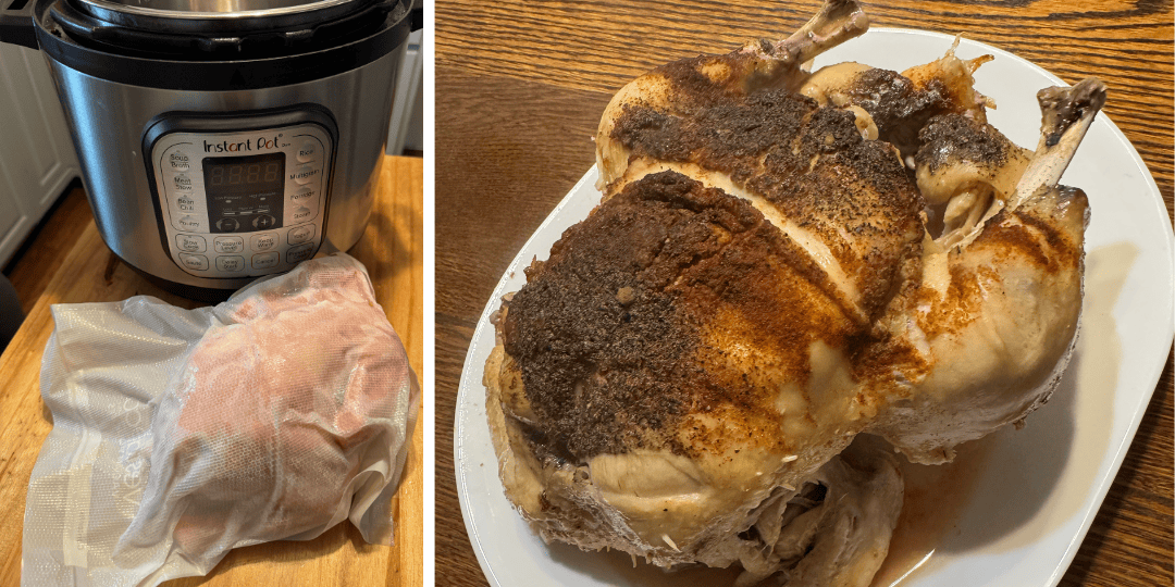 instant pot frozen chicken recipe