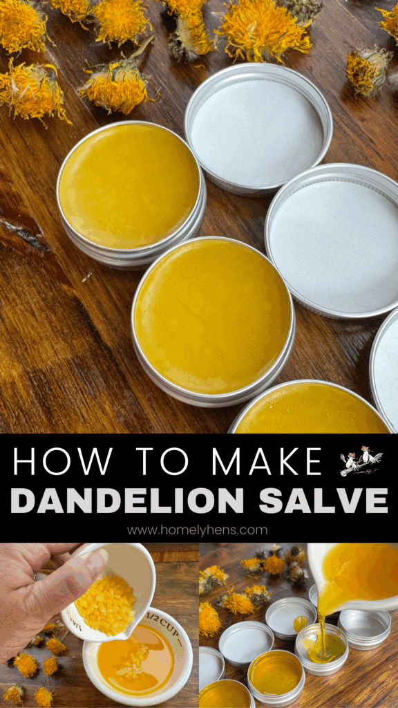 how to make homemade dandelion salve