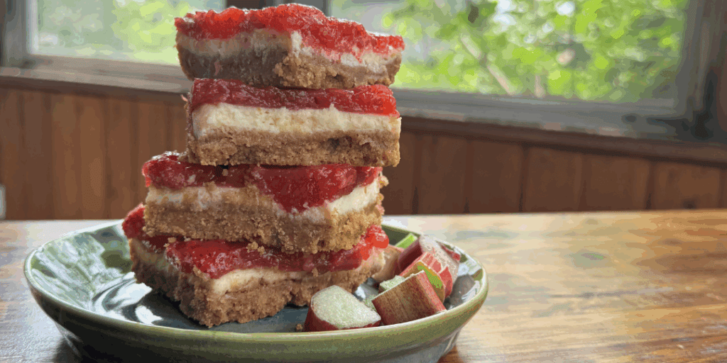 strawberry rhubarb cheesecake on a plate with freshly cut rhubarb