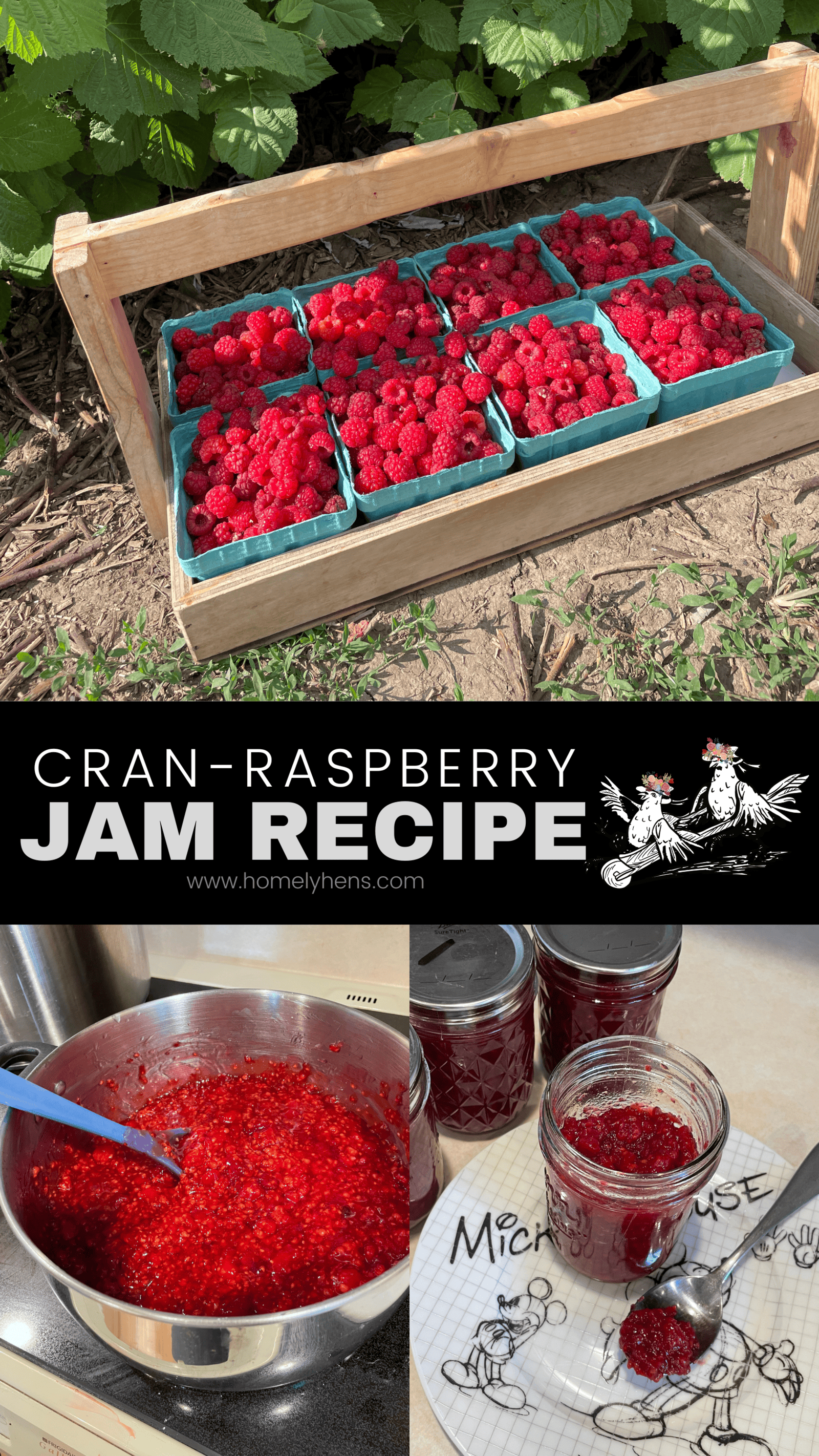 raspberries, cran-raspberry jam, cooking cam
