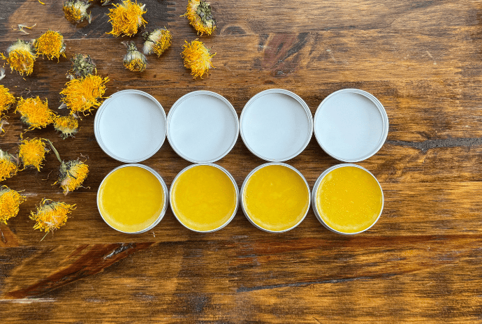 dandelion salve, dried dandelions, tins