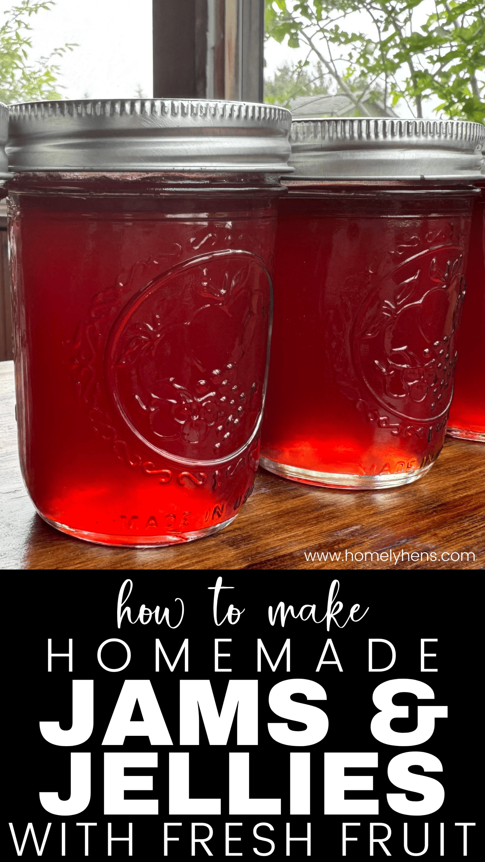 image showing jars of jelly and the words how to make homemade jams and jellies with fresh fruit