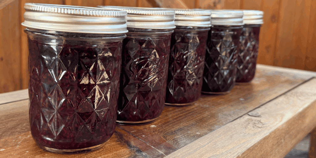 jars of jelly after a water bath canning