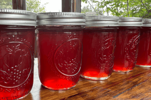 mixed berry jelly jars