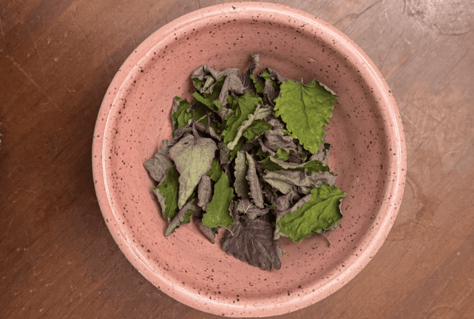 dried lemon balm in a pink bowl