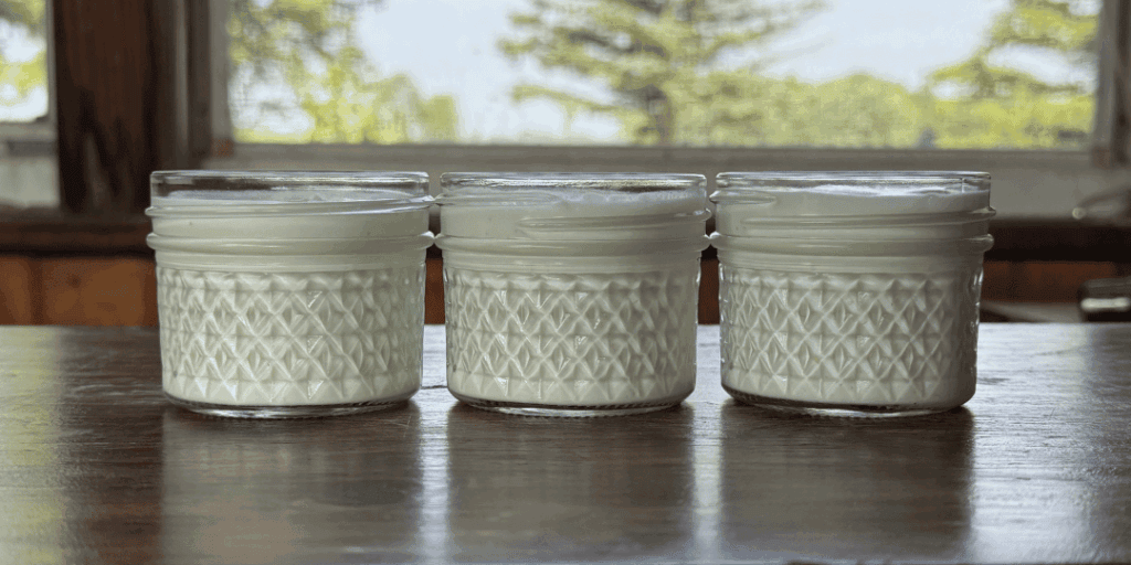 homemade yogurt in 4 oz mason jars 