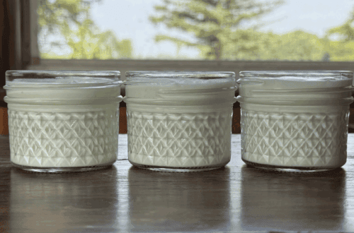 homemade yogurt in 4 oz mason jars