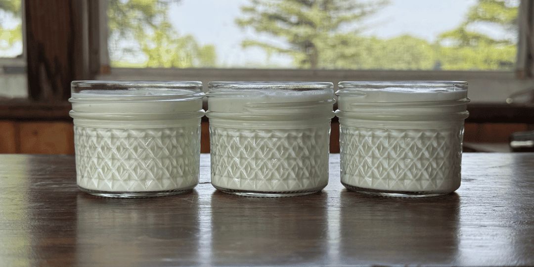 homemade yogurt in 4 oz mason jars