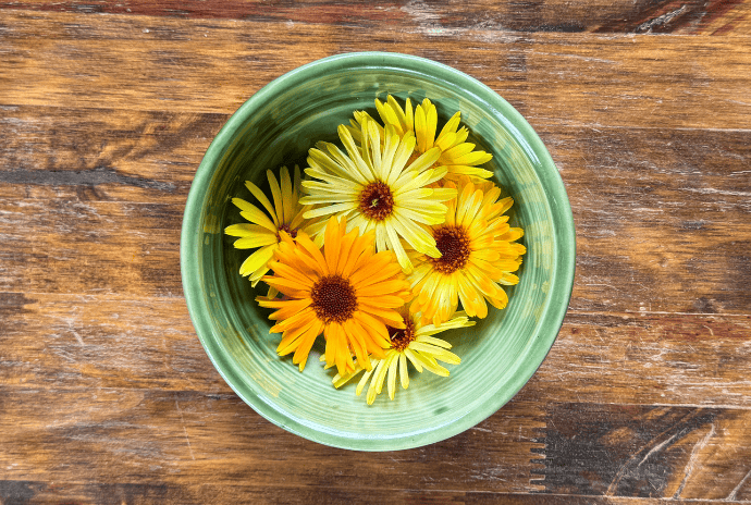 freshly picked calendula flowers in a green bowl
