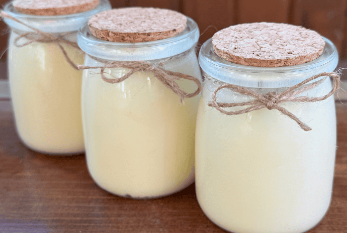 Three jars filled with tallow balm arranged together with bows