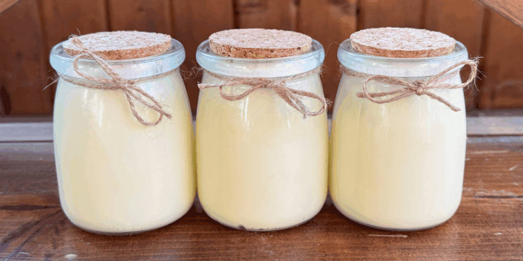 Three tallow balm jars placed side by side in a straight line on a wooden table