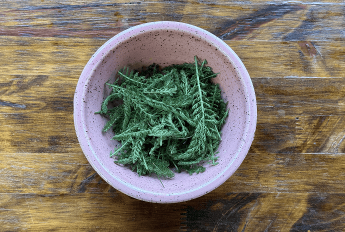 yarrow leaves to be used for cold teas