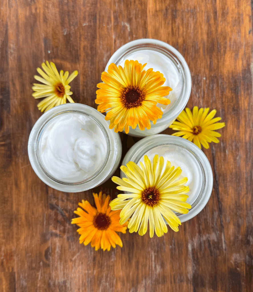calendula flowers with calendula tallow baby balm