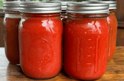 canned tomato sauce in pint jars from homegrown tomatoes