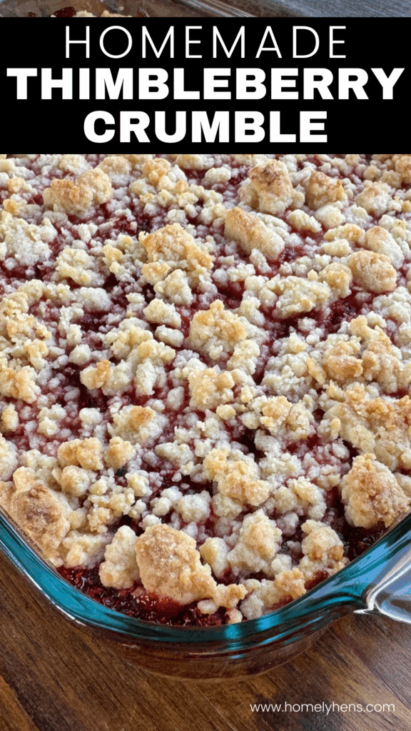 homemade thimbleberry crumble 
