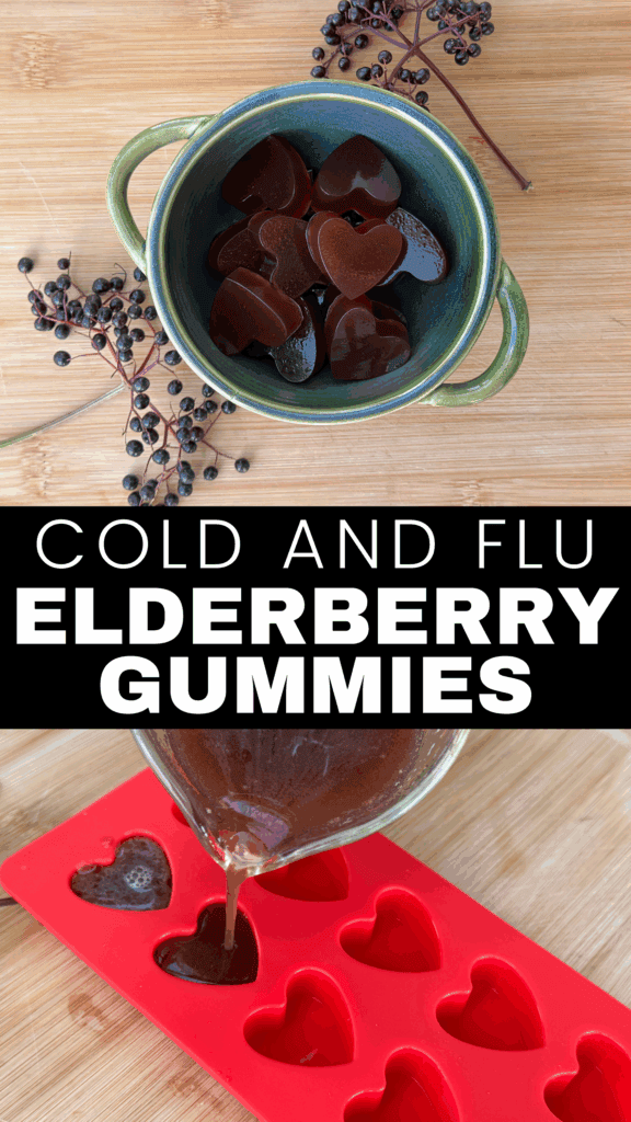 elderberry gummies in a heart mold