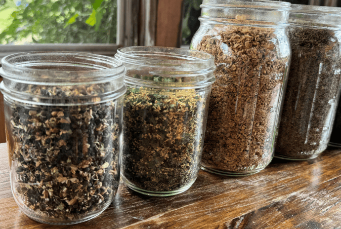 dried herbs in jars for teas to help fight cold symptoms