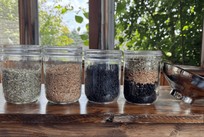 immunity boosting and cold fighting tea homemade from echinacea, ginger, and elderberries