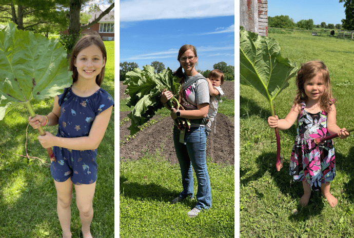 kids and mom holding freshly picked rhubarb stalks