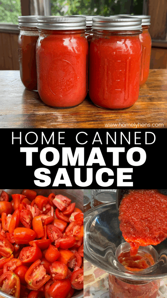 water bath canning tomato sauce, cooking tomatoes, ladling tomato sauce into a pint sized jar