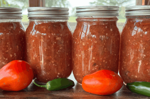 homemade canned salsa with garden fresh tomatoes and jalapenos on the table