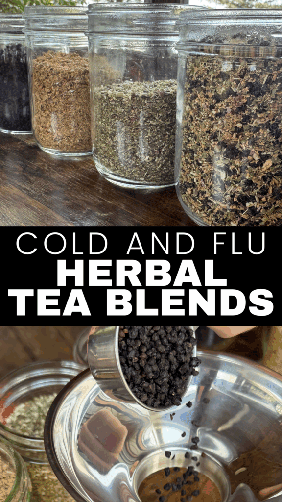 herbs in jars and making cold tea with elderberries
