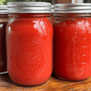 home canned tomato sauce in pint jars