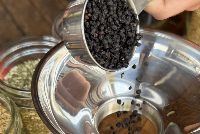 pouring dried elderberries into a homemade cold and flu tea