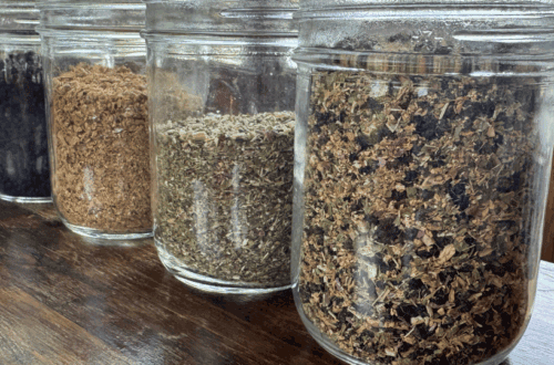 homemade immunity boosting tea made from echinacea, ginger, and dried elderberries