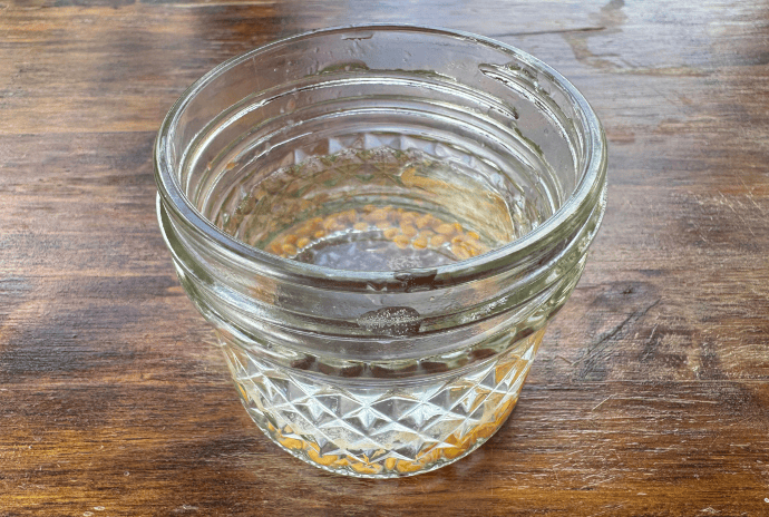 rinsed tomato seeds after fermentation