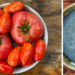 heirloom tomatoes and seeds saved on a plate