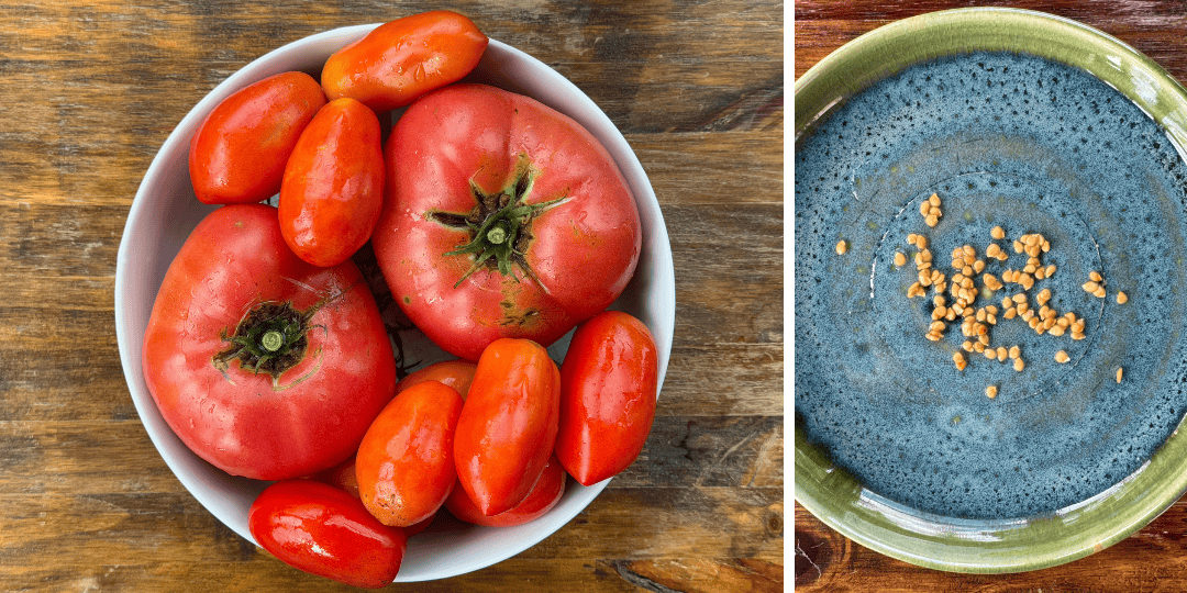 heirloom tomatoes and seeds saved on a plate