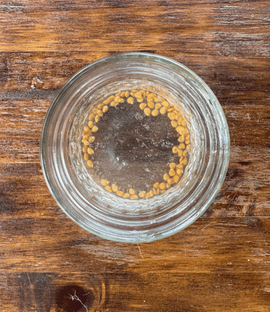 tomato seeds in a small jar