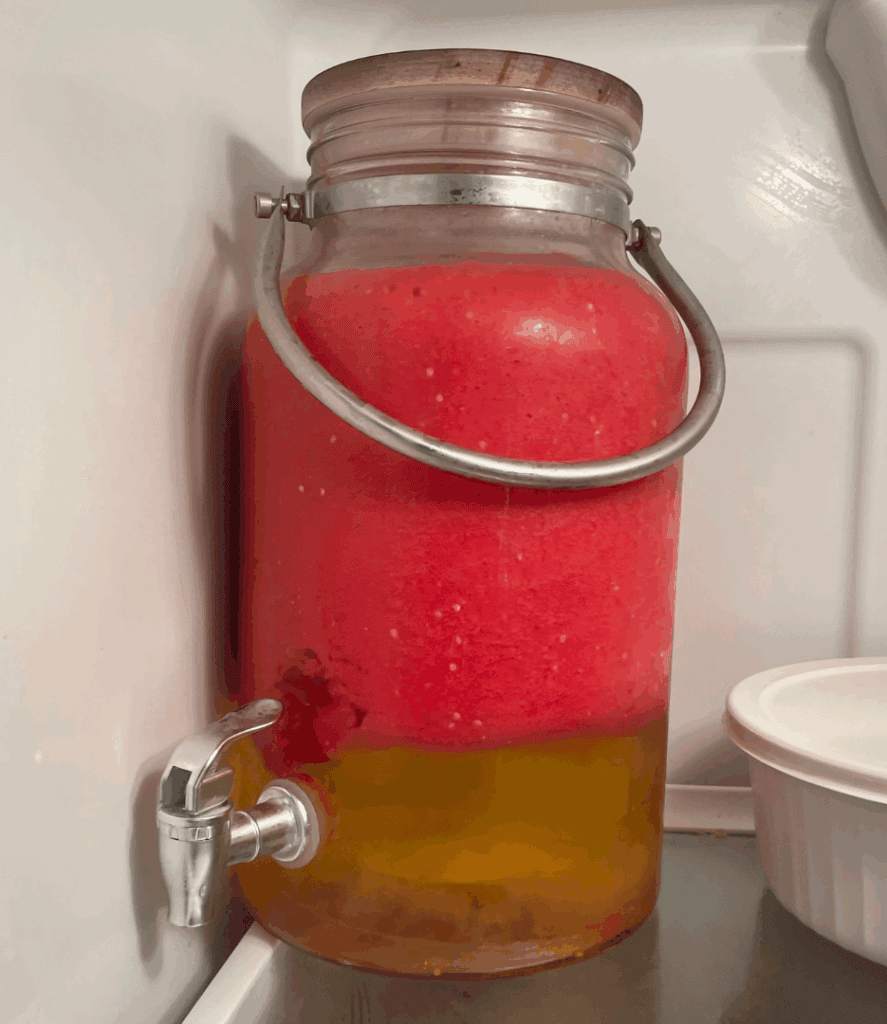 blended tomatoes separating in the fridge in a gallon sized glass jug