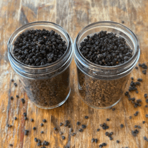 dried elderberries in half pint jars for storage