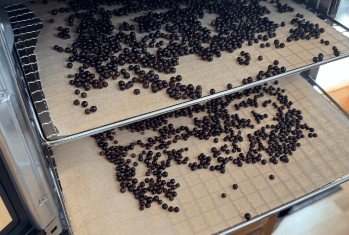 fresh elderberries in a dehydrator